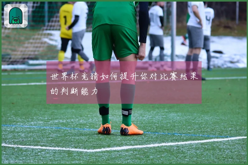 世界杯竞猜如何提升你对比赛结果的判断能力